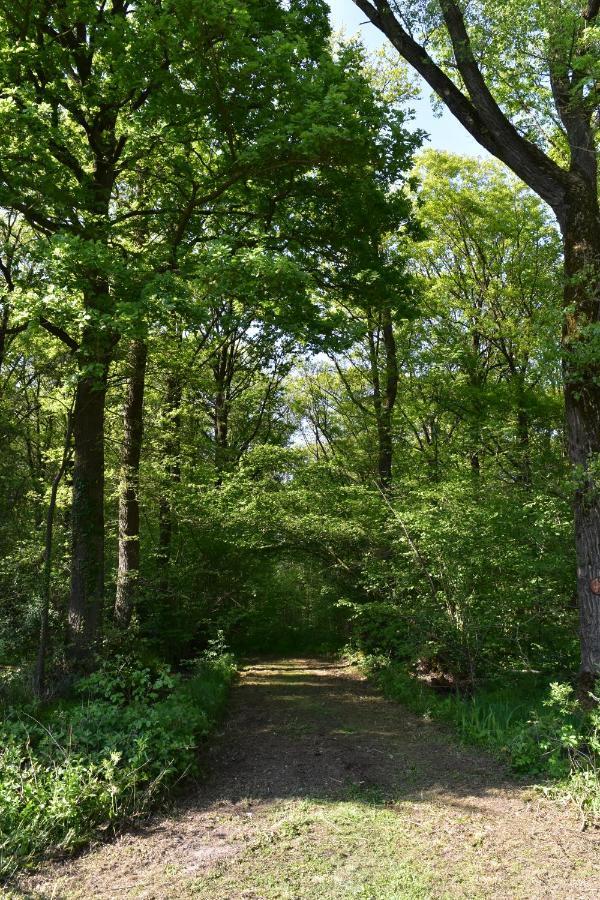 Jachthuis Au Bois Du Gheer エクステリア 写真